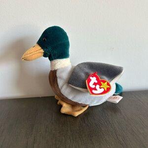 Ty Multicolor Duck Plush Toy